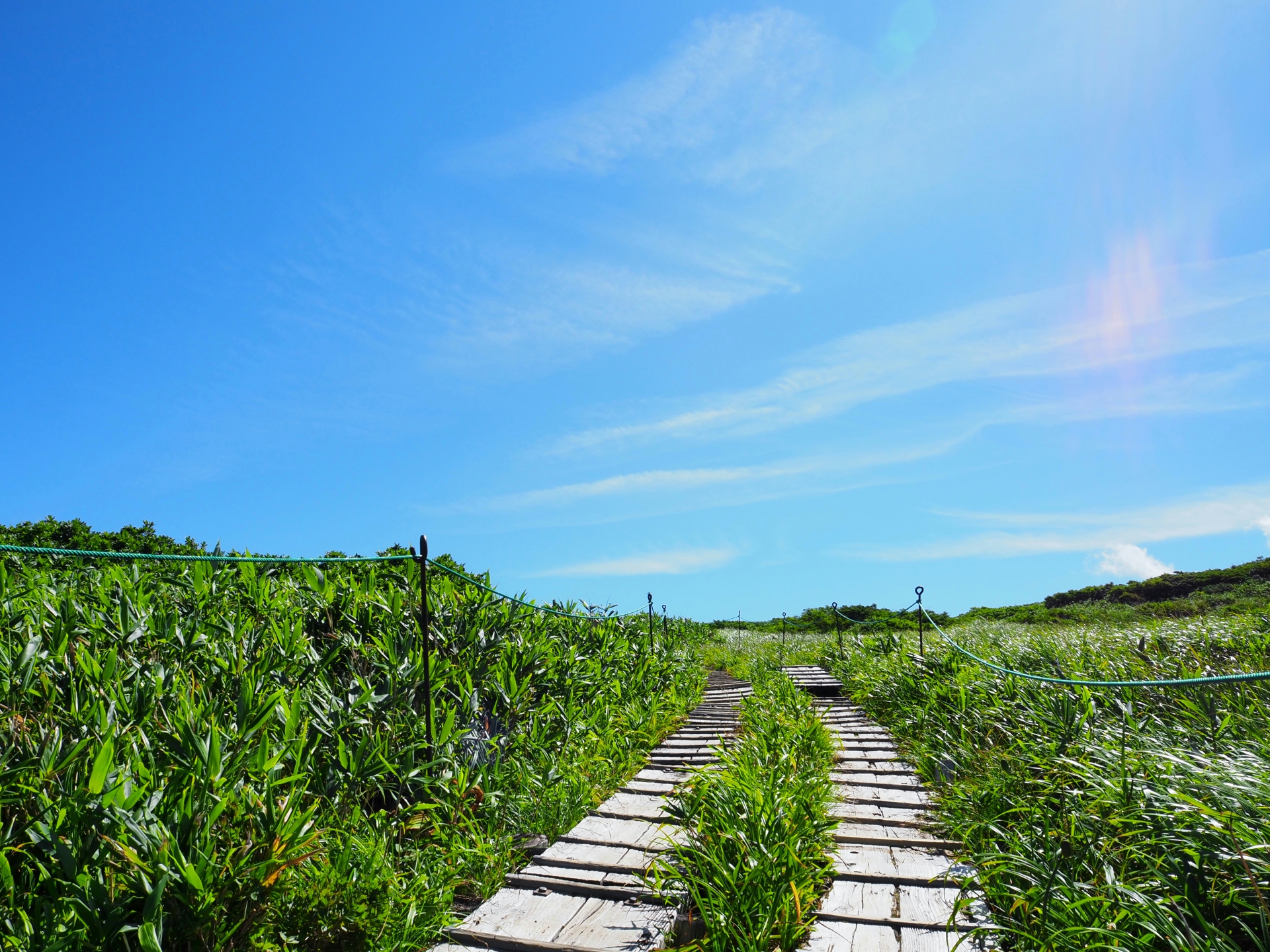 有限会社佐藤塗装