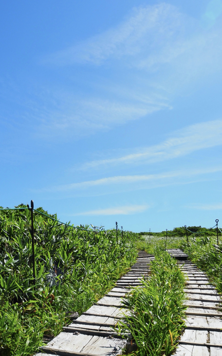 有限会社佐藤塗装